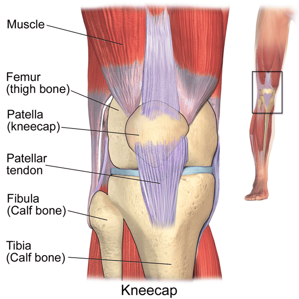 what is the patella pain