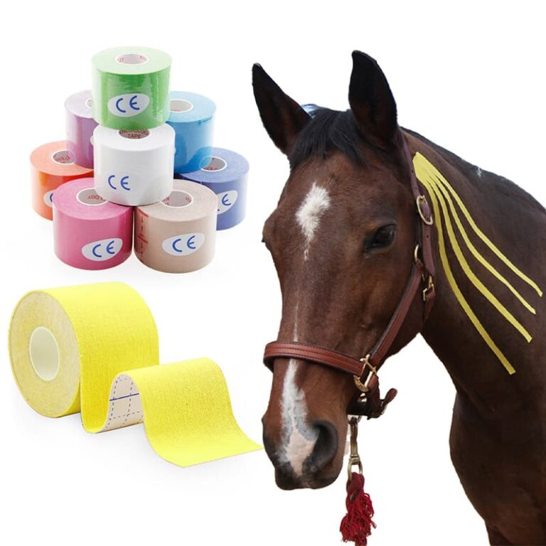 Kinesiologietape voor paarden